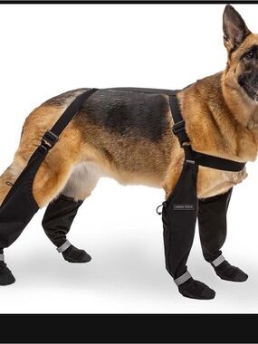 Canada Pooch Black Waterproof Dog suspender boots with Reflective Straps